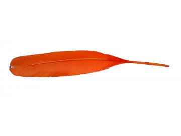Pióra gęsie ORANGE...