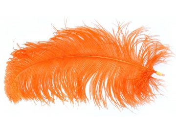 Pióra strusia 50cm...