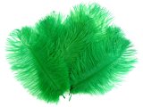 Pióra strusia 20cm ZIELONE KIWI cena za 1szt BY GOLD-POL piórka strusie naturalne oryginalne dobrze wybarwione sklep
