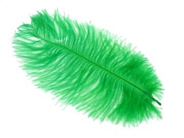 Pióra strusia 20cm ZIELONE...