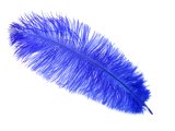 Pióra strusia 20cm NIEBIESKIE SZAFIR cena za 1szt by GOLD-POL piórka strusie oryginalne