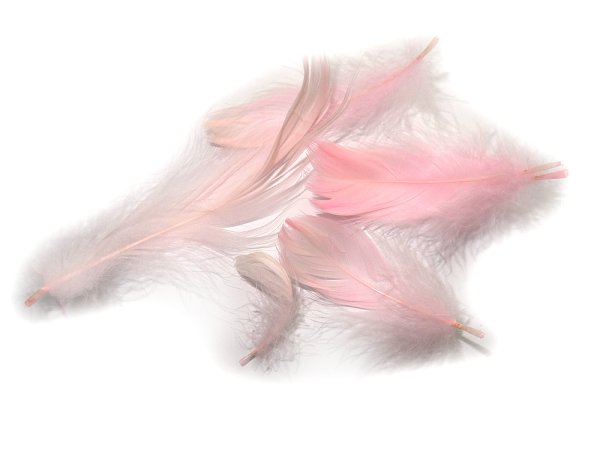 Pióra gęsie PASTELOWY RÓŻ PINK cena za 1 opk 50g piórka drobne luzem około 1000 sztuk do ozdabiania sklep GOLD-POL