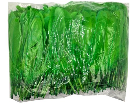 Pióra gęsie KIWI ZIELONY cena za HURT opk 250g około 600-700 szt piórka lotki sztywne luzem do ozdabiania sklep warszawa