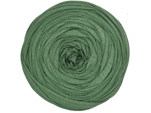 Spaghetti cotton ZIELONA SZAŁWIA cena za 1 sztukę około 120m włóczka z recyklingu t-shirt nici bawełna sklep