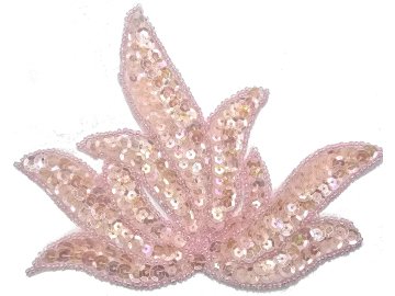 Aplikacja LIŚCIE RÓŻOWE...