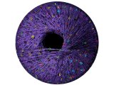 GALASSIA 03 FIOLET 25g 112m kordonek z cekinami 2mm co 1cm