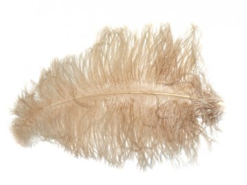 Pióra strusia 50cm CIELISTY...