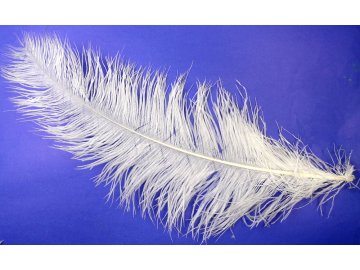 Pióra strusia 50cm BIAŁE...